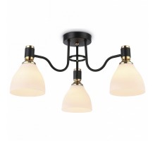 Потолочная люстра Ambrella Light TR TR303303