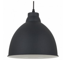 Подвесной светильник Arte Lamp Braccio A2055SP-1BK