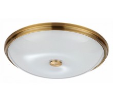 Накладной светильник Odeon Light Pelow 4956/5