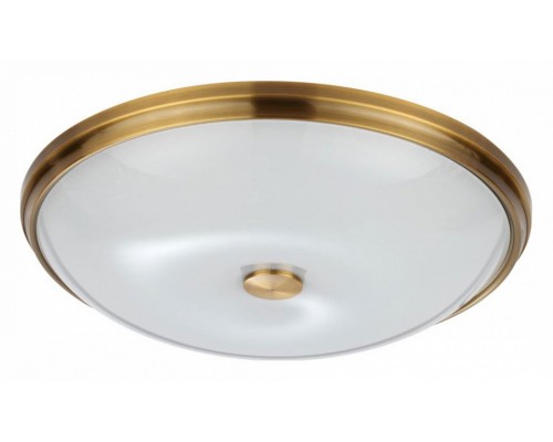 Накладной светильник Odeon Light Pelow 4956/5