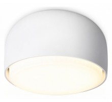 Накладной светильник Ambrella Light TN TN71001