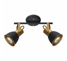 Спот Arte Lamp Jovi A1677PL-2GO