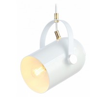 Подвесной светильник Ambrella Light TR TR8205