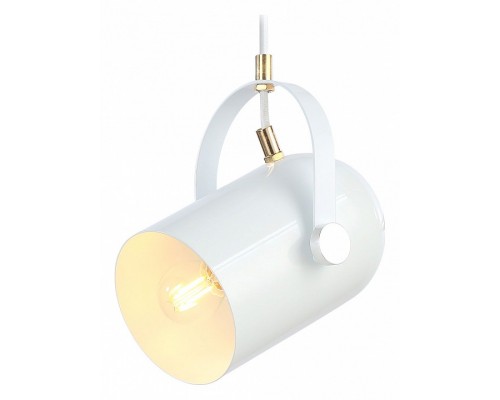 Подвесной светильник Ambrella Light TR TR8205