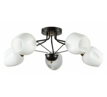 Потолочная люстра Arte Lamp Brighton A2706PL-5CK