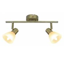 Спот Arte Lamp Parry A5062AP-2AB