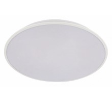 Накладной светильник Loft it Brim 10226 White