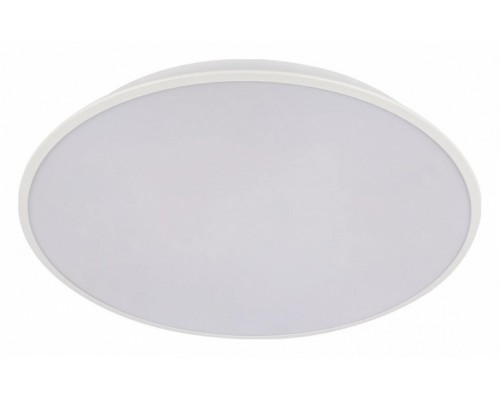 Накладной светильник Loft it Brim 10226 White