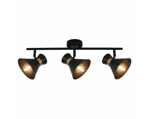 Спот Arte Lamp Baltimore A1406PL-3BK