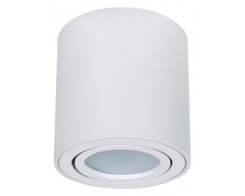 Накладной светильник Arte Lamp Beid A1513PL-1WH